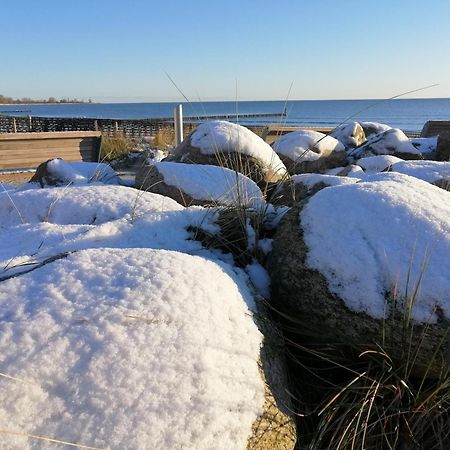 Ferienwohnung "Luv" Grube Ostsee 외부 사진
