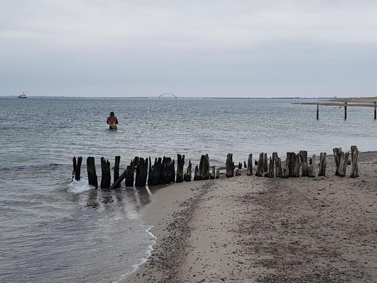 Ferienwohnung "Luv" Grube Ostsee 외부 사진