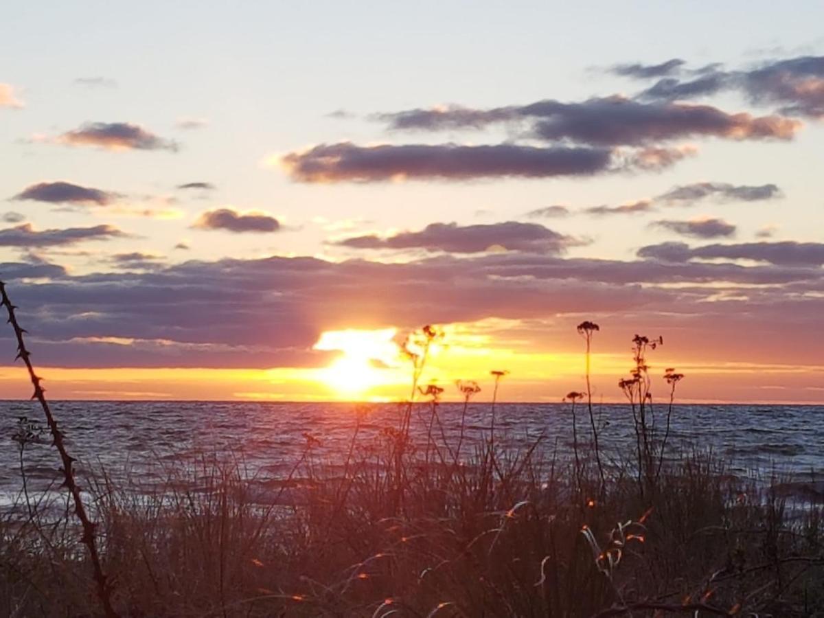 Ferienwohnung "Luv" Grube Ostsee 외부 사진