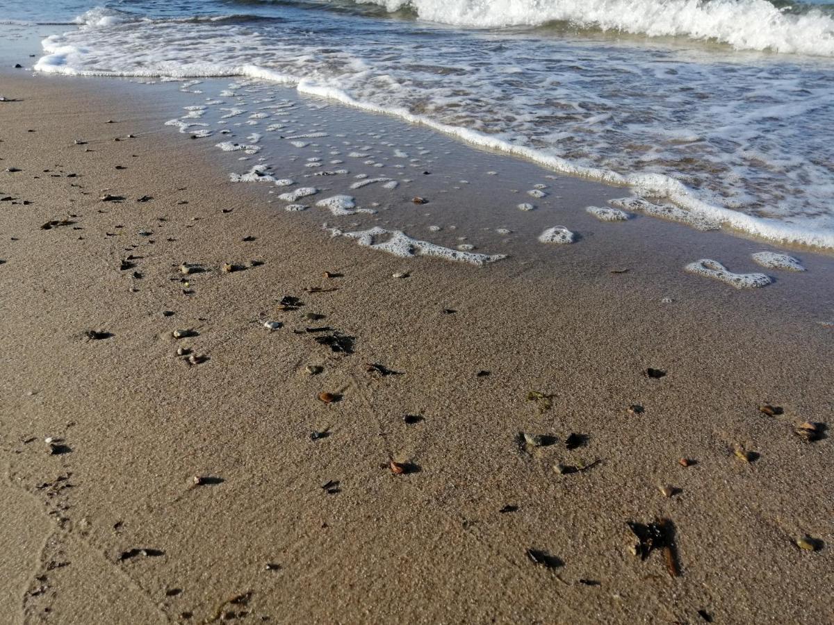 Ferienwohnung "Luv" Grube Ostsee 외부 사진